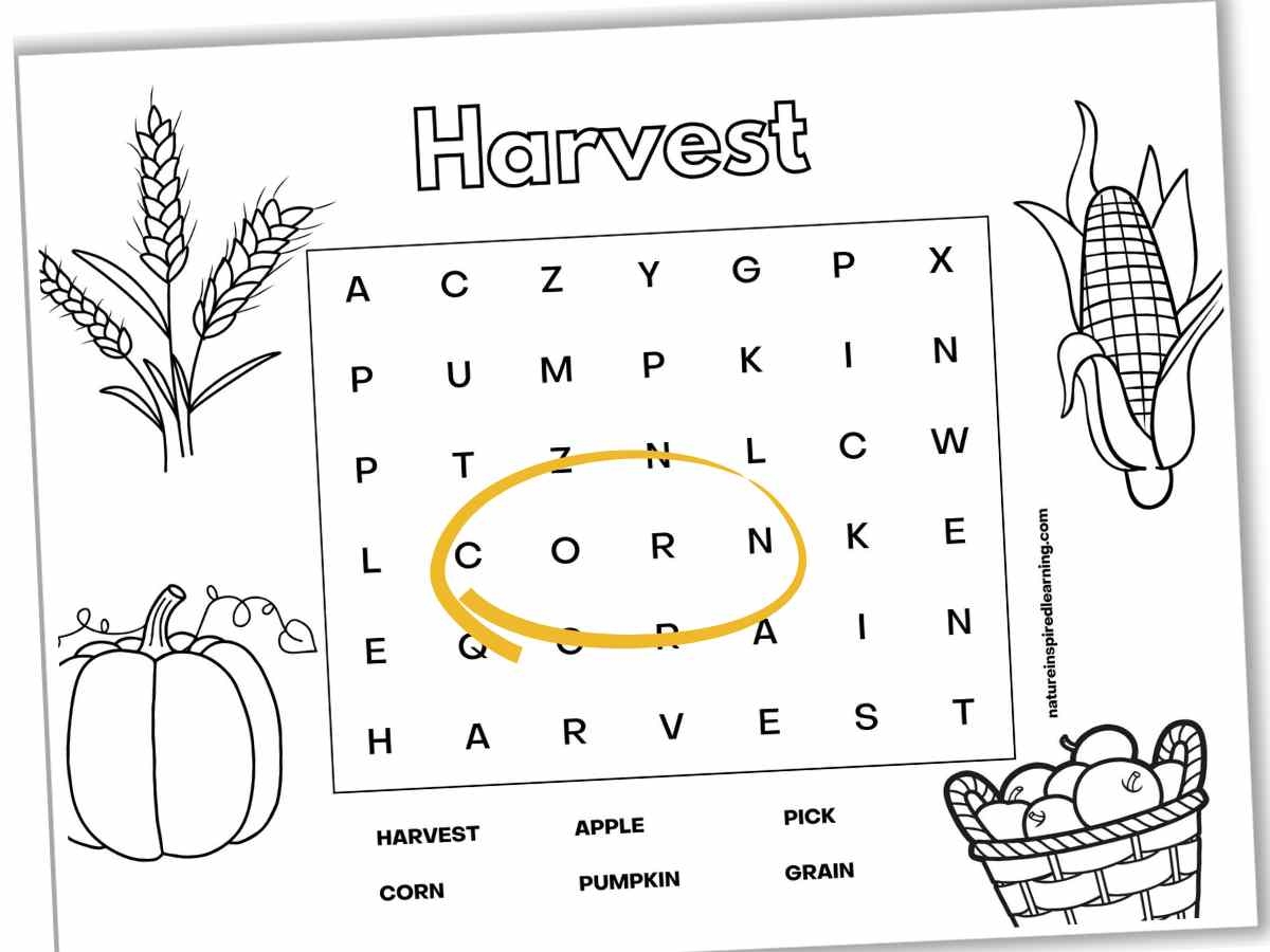 5 Easy Fall Word Searches Nature Inspired Learning 5 Easy Fall Word Searches Nature Inspired Learning