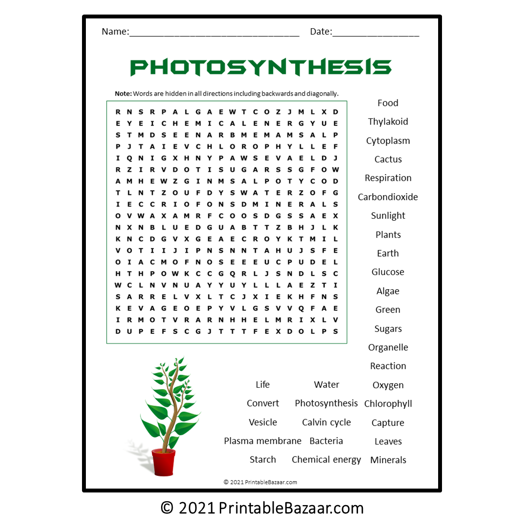 All About Photosynthesis Word Search Puzzle Made By Teachers All About Photosynthesis Word Search Puzzle Made By Teachers