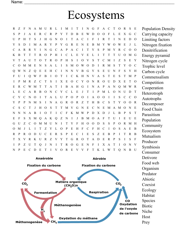 Ecosystem Word Search Printable Ecosystem Word Search Printable