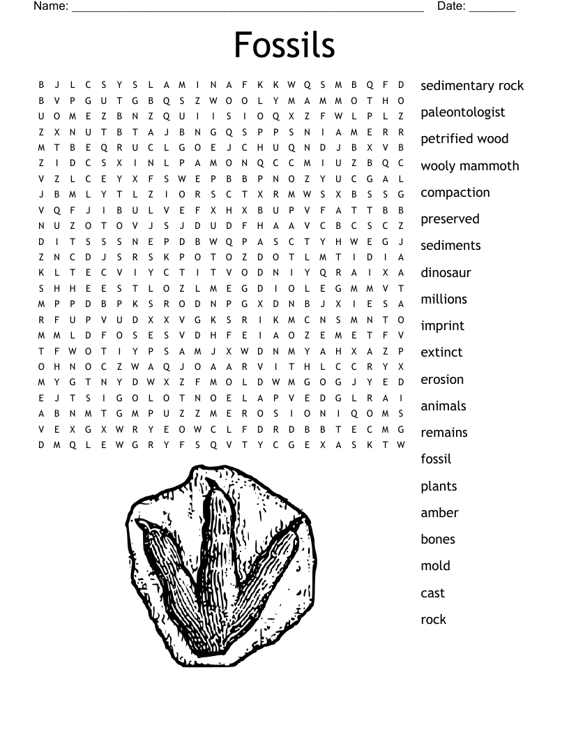 Fossil Word Search WordMint Fossil Word Search WordMint