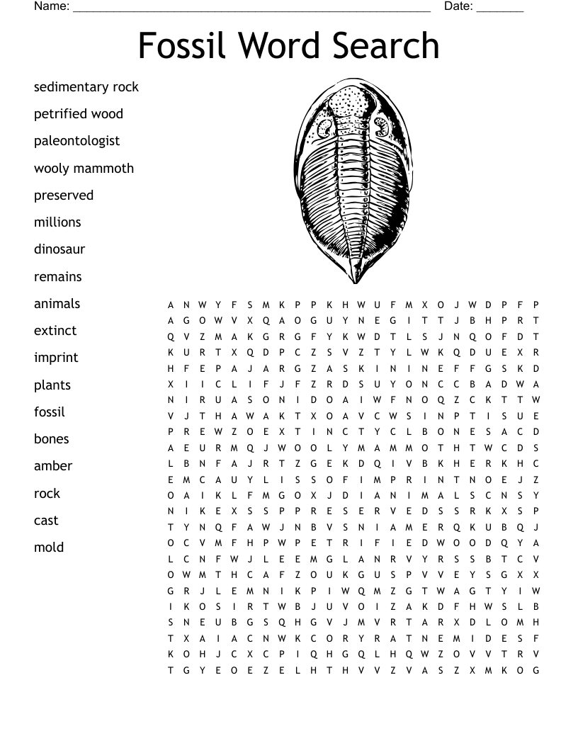 Fossil Word Search WordMint Fossil Word Search WordMint