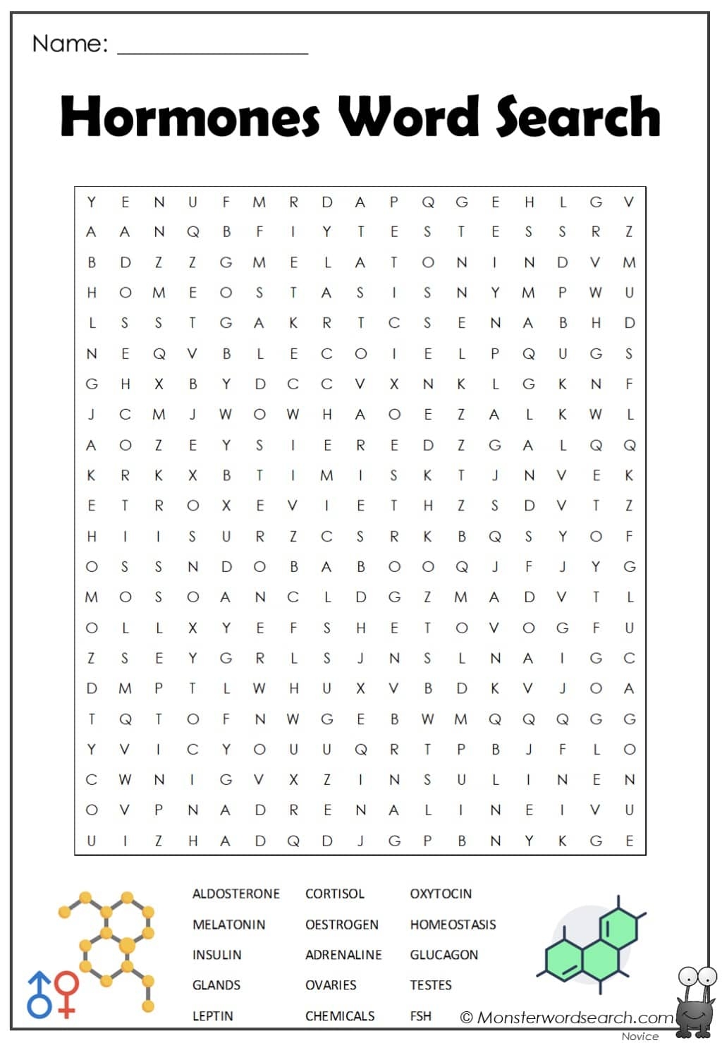 Rocks And Minerals Word Search Printable Rocks And Minerals Word Search Printable