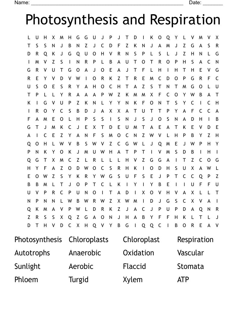 Photosynthesis And Respiration Word Search WordMint Photosynthesis And Respiration Word Search WordMint