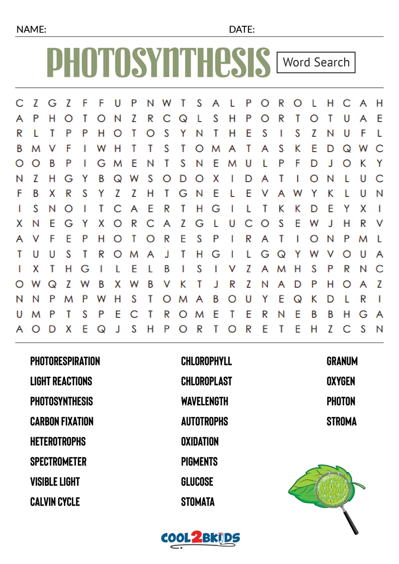 Printable Photosynthesis Word Search Cool2bKids Printable Photosynthesis Word Search Cool2bKids