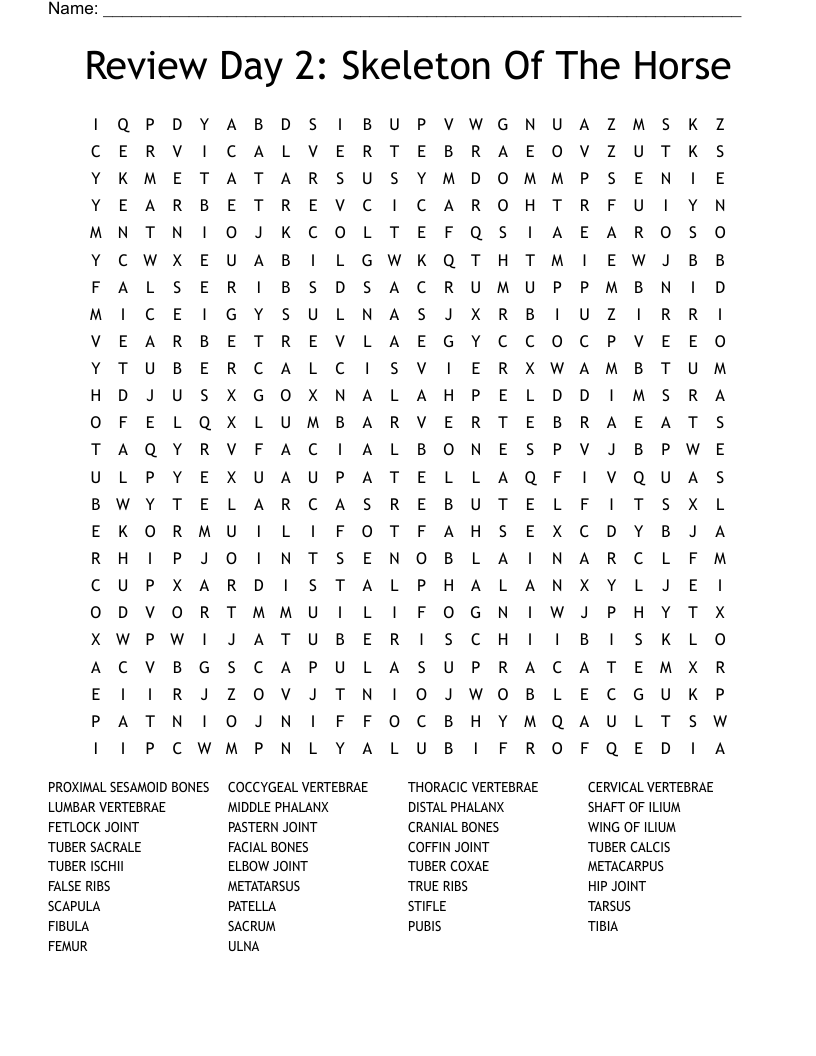 Skeleton Word Search Printable Skeleton Word Search Printable