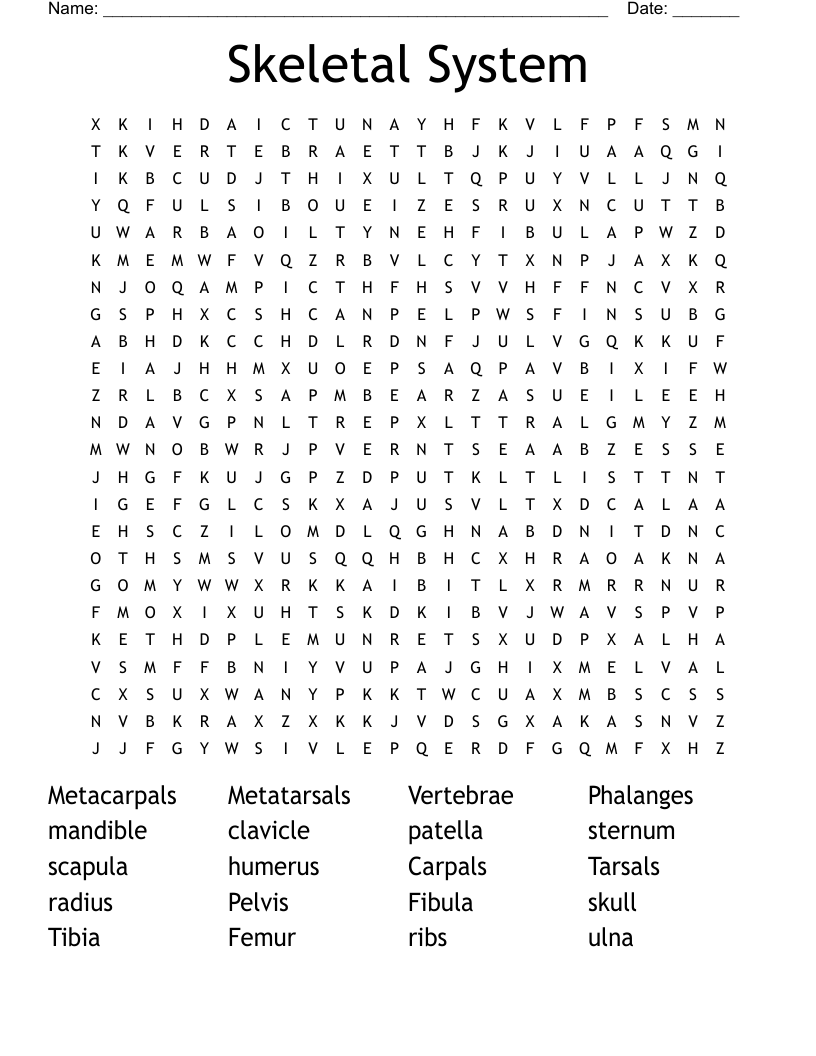 Skeletal System Word Search WordMint Skeletal System Word Search WordMint