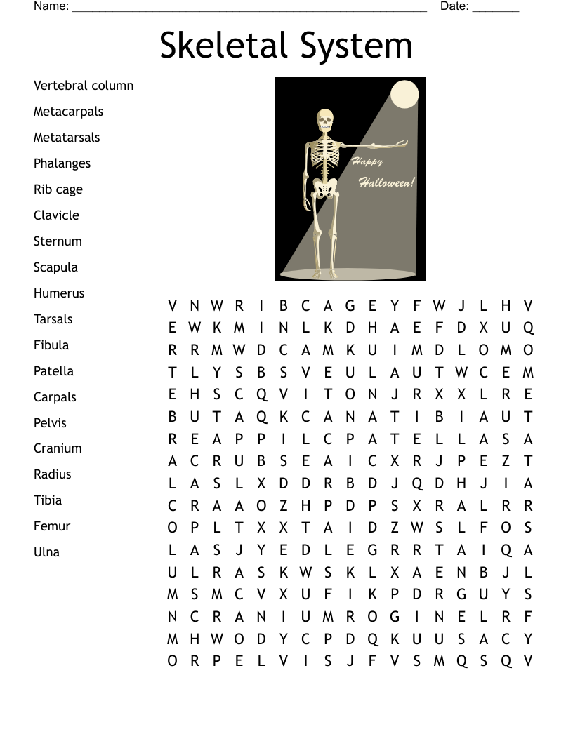 Skeletal System Word Search WordMint Skeletal System Word Search WordMint