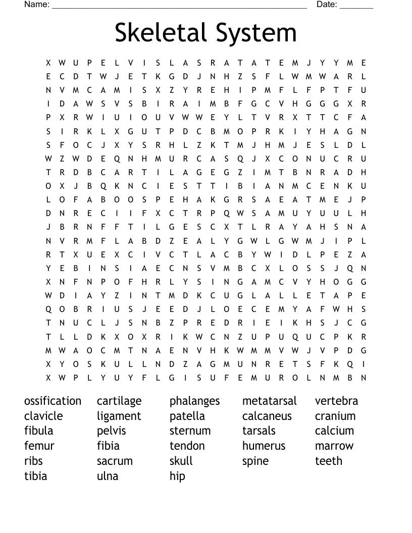 Skeletal System Word Search WordMint Skeletal System Word Search WordMint