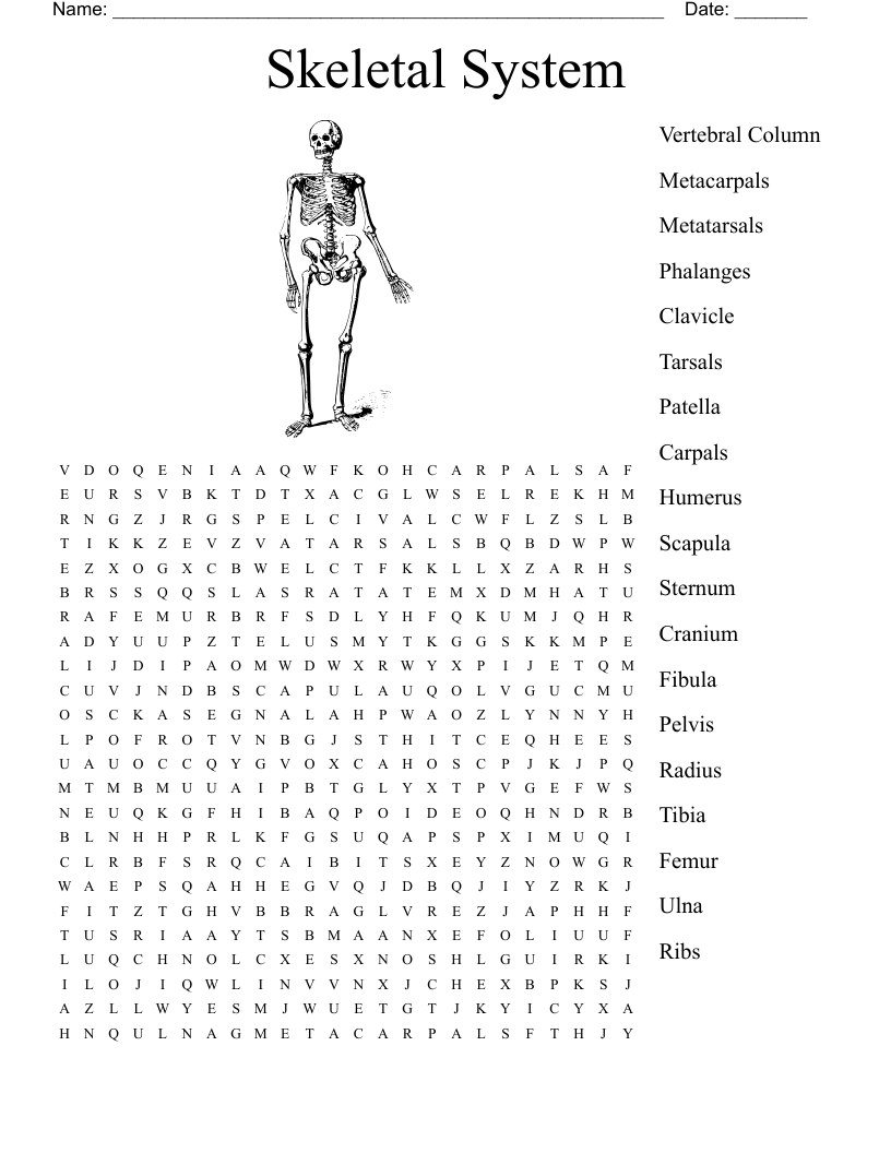 Skeletal System Word Search Printable Skeletal System Word Search Printable