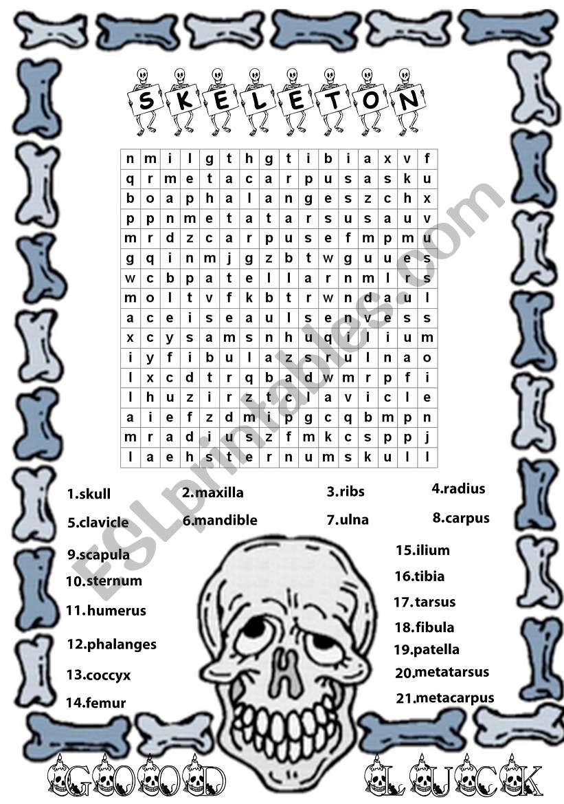 Skeleton ESL Worksheet By Srare Skeleton ESL Worksheet By Srare