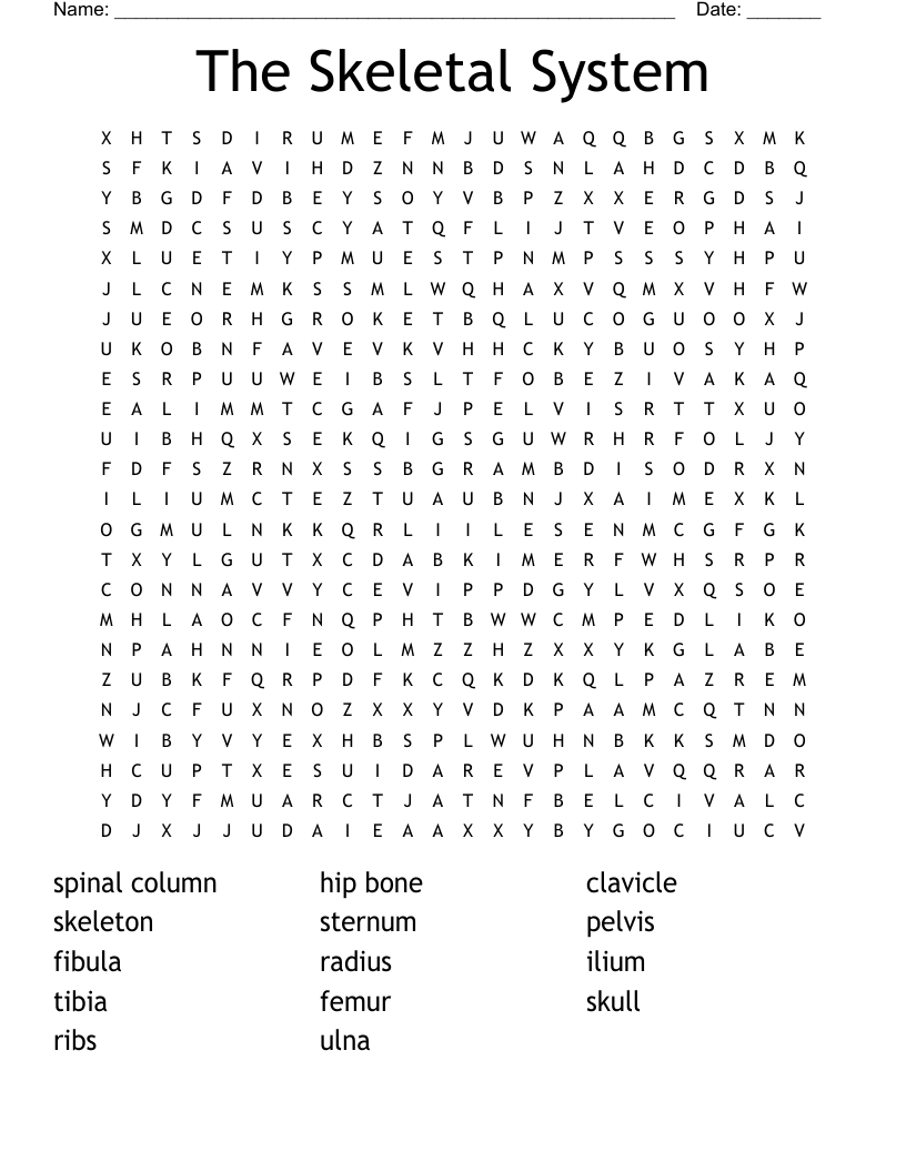 The Skeletal System Word Search WordMint The Skeletal System Word Search WordMint
